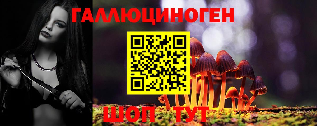Коломна  что такое   Вход с VPN  Псилоцибиновые грибы GOLDEN TEACHER 
